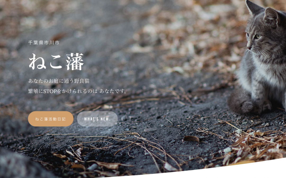 ねこ藩公式サイトのURLが変更になりました。
