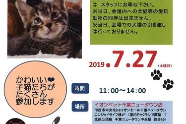 7月27日 保護ねこ里親会＠イオンペット