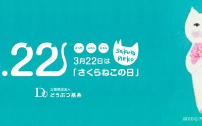 ３月22日は「さくらねこ」の日。