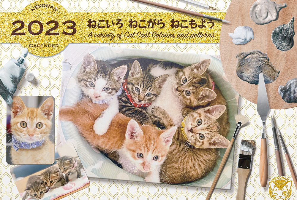 ねこいろ ねこがら ねこもよう～A variety of cat coatcolours and patterns