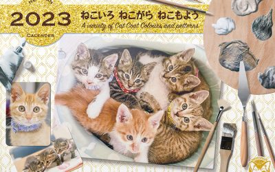 ねこいろ ねこがら ねこもよう～A variety of cat coatcolours and patterns