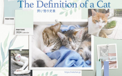 The Definition of a Cat～飼い猫の定義「製作過程とモデル猫」