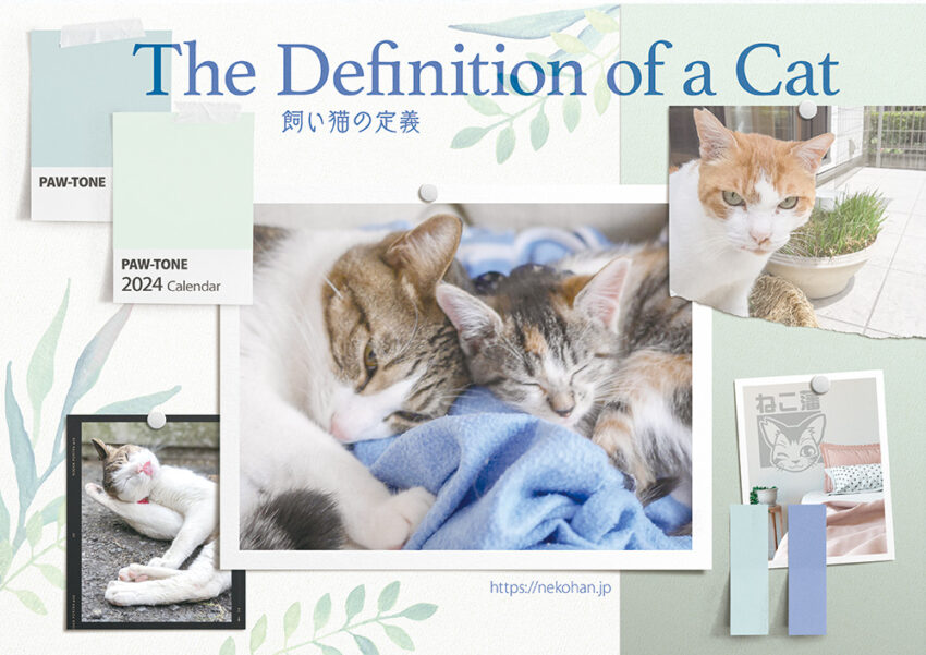 The Definition of a Cat～飼い猫の定義「内容について」