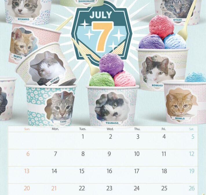 収支報告：2025年7月度
