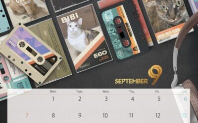 収支報告:2025年9月度