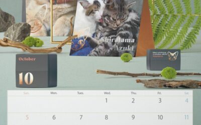 収支報告:2025年10月度