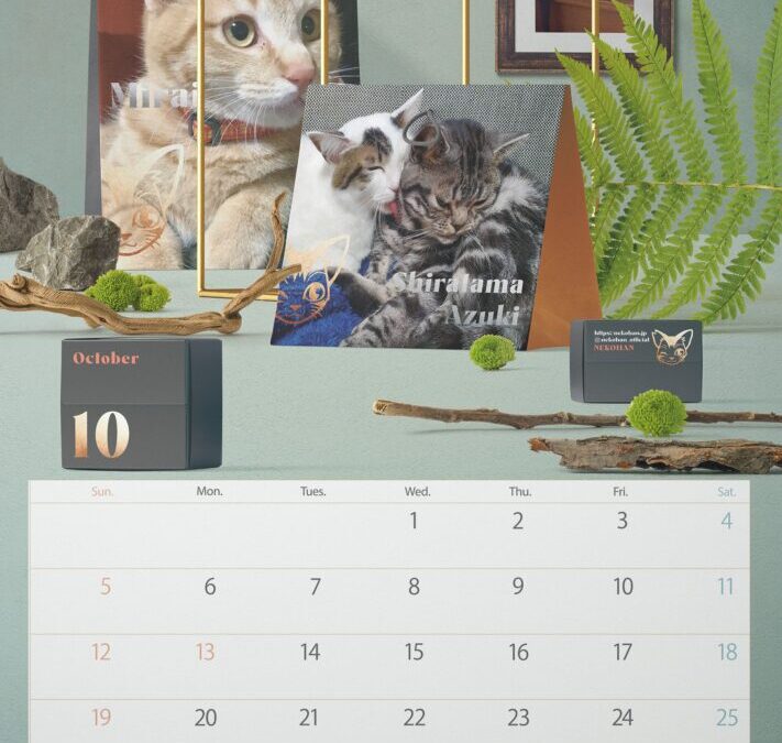 収支報告：2025年10月度