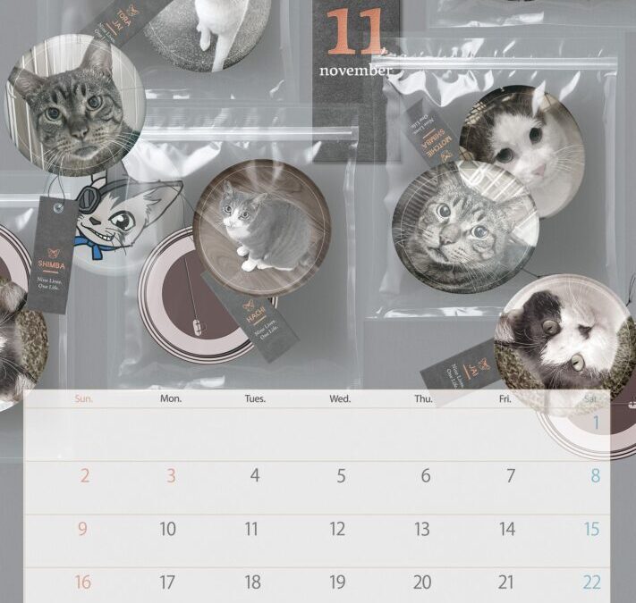 収支報告：2025年11月度