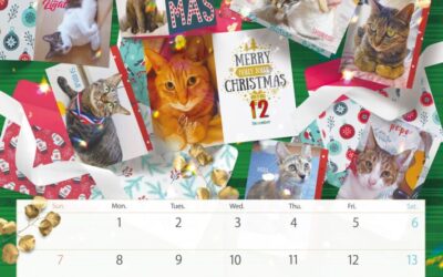 収支報告：2025年12月度