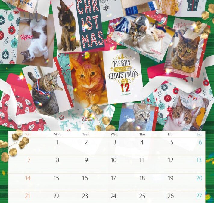 収支報告：2025年12月度