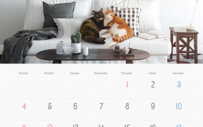 収支報告：2026年1月度