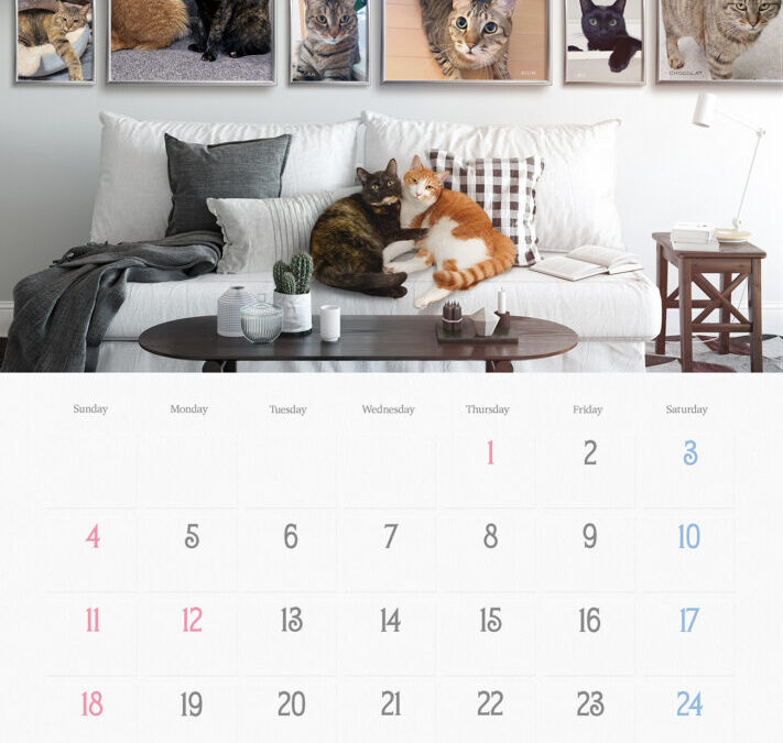 収支報告：2026年1月度