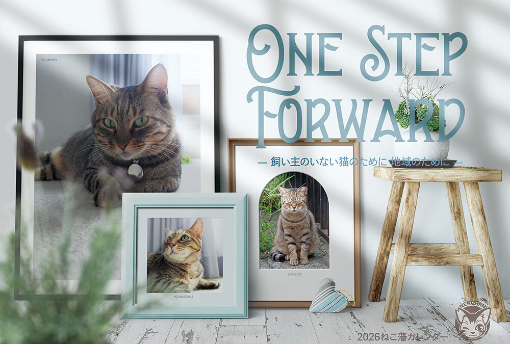 ねこ藩2026年カレンダー：One Step Forward「内容とモデル猫について」
