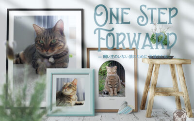ねこ藩2026年カレンダー：One Step Forward「内容とモデル猫について」