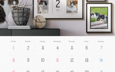 収支報告:2026年2月度