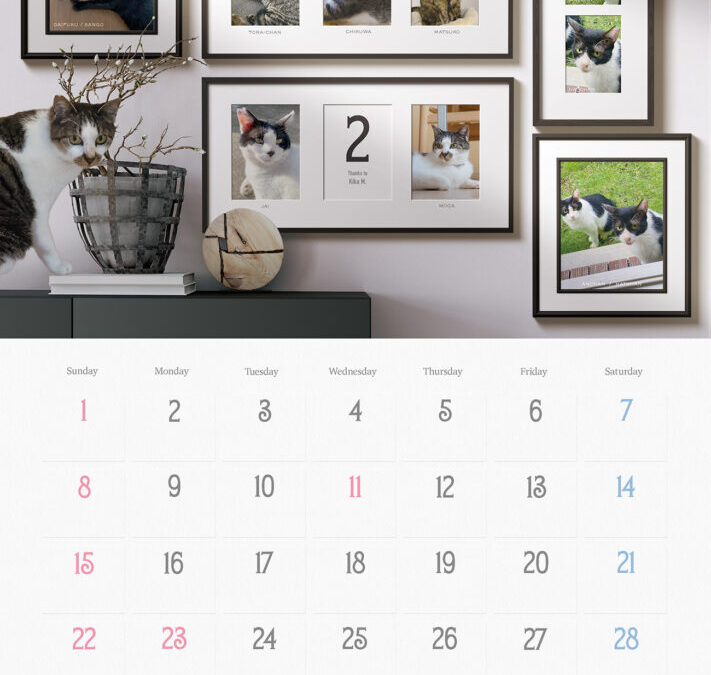 収支報告：2026年2月度